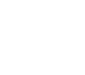 Hawaiian Airlines